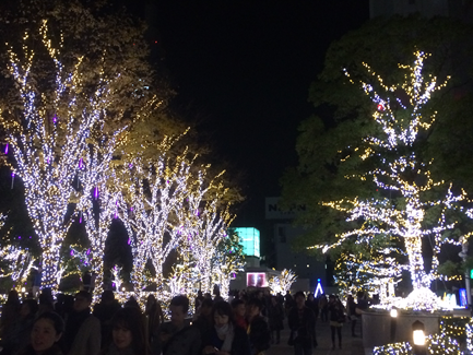 日本留學心得  寒冷的冬夜街道